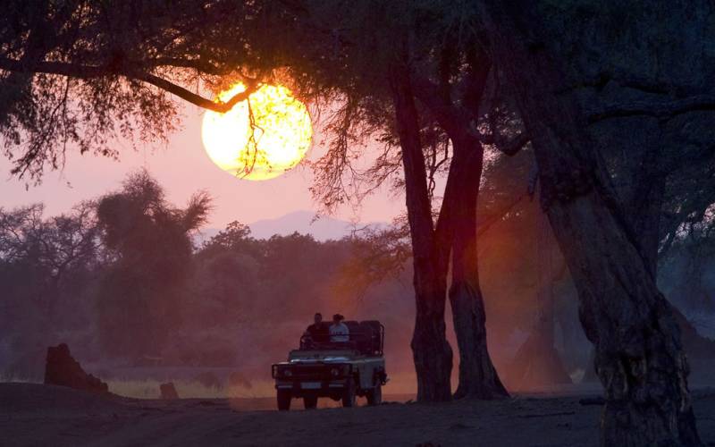 7 Best African Safari Destinations