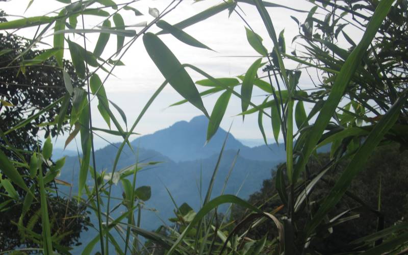 this is a photo of Mount Kinabalu