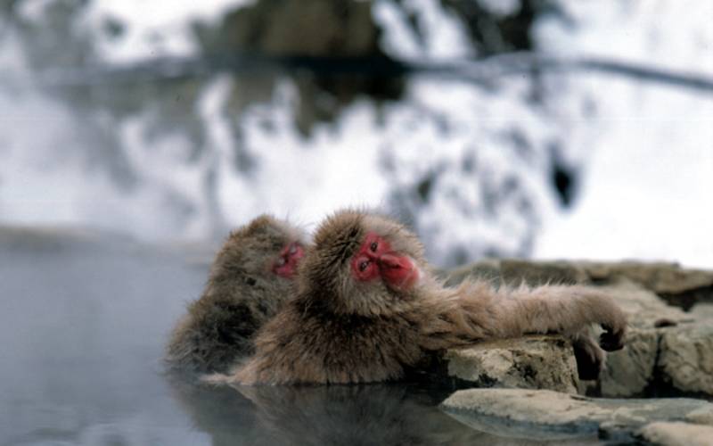 Hokkaido – Japan’s Nature Island