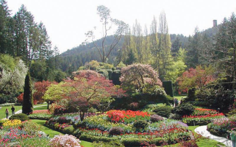 a close up of a flower garden with Butchart Gardens in the background