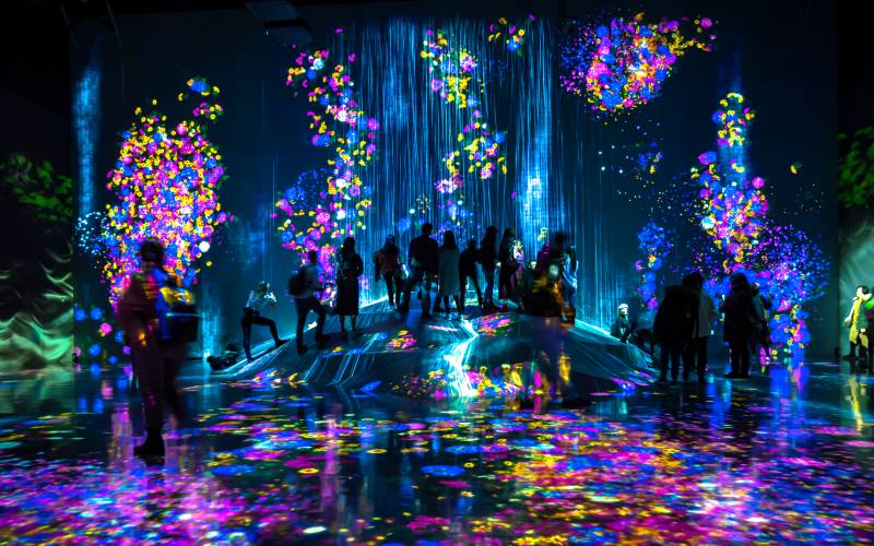 🍂Fall🍂 in Love with Japan