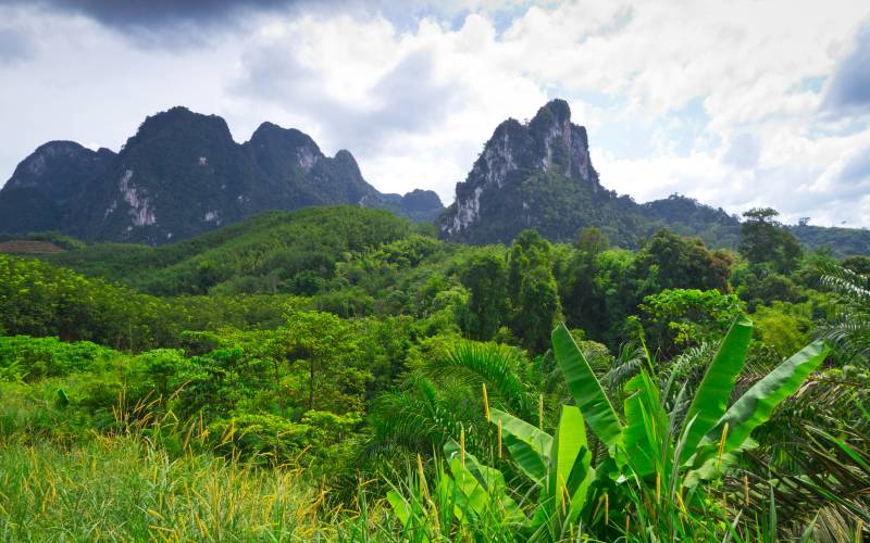 The Top 12 Things to Do in Thailand