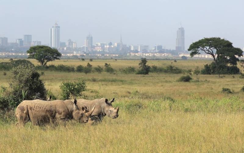 The Top 6 Reasons to Visit Kenya