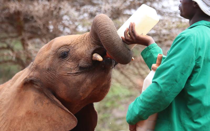 The Top 6 Reasons to Visit Kenya