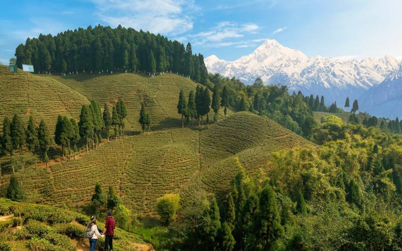 Luxury Travel in India: 9 Unforgettable Experiences