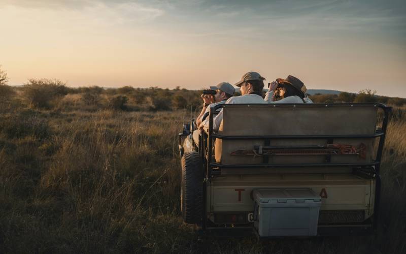 Three people in hats using binoculars on an open safari vehicle in a golden-lit savanna at sunset.