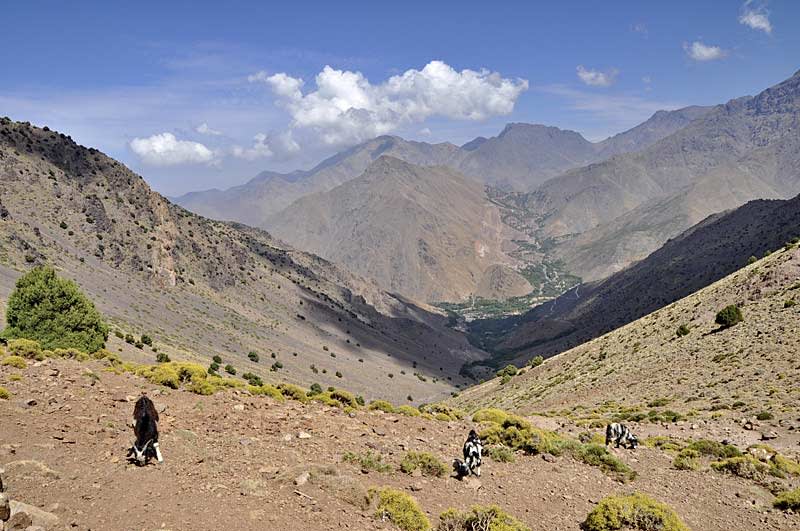 Walking Adventure in Morocco