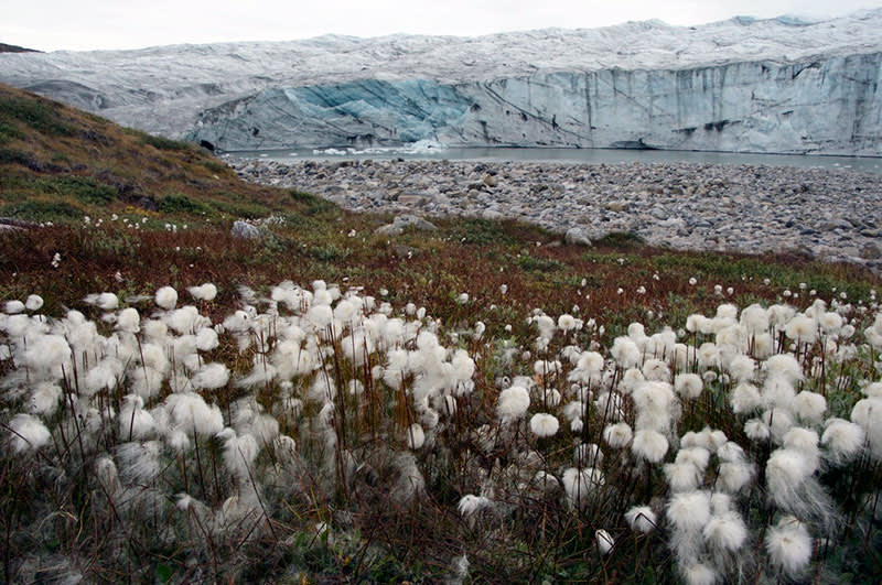 The Russell Glacier just outside of Kangerlussuaq