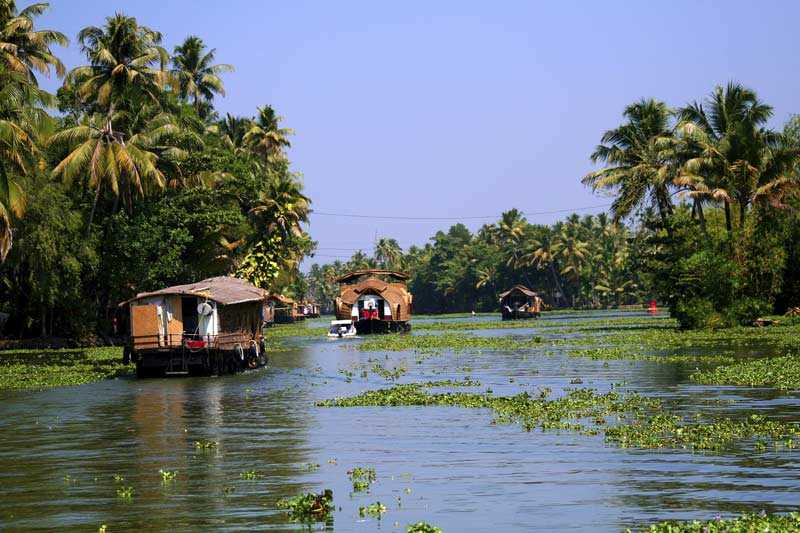 Kerala backwaters