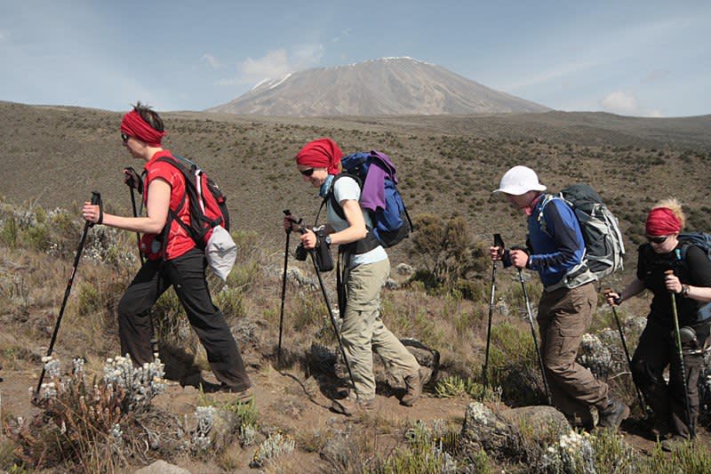 Kilimanjaro Routes to the Summit