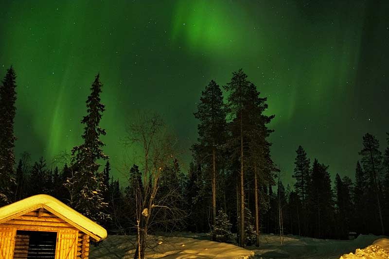 Northern lights over Basecamp Oulanka