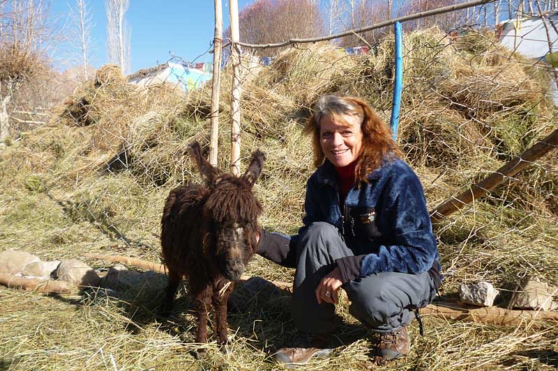 With one of the sponsored donkeys