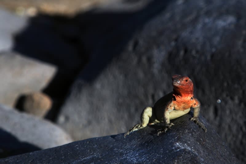 Photo Credit: Ecuador’s Ministry of Tourism