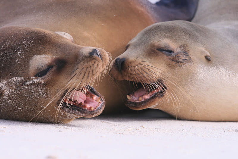 Photo Credit: Ecuador’s Ministry of Tourism