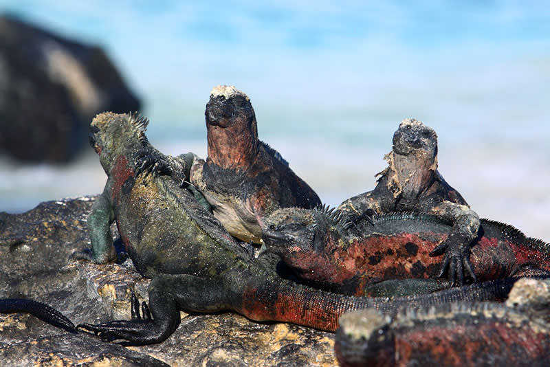 Photo credit: Ecuador’s Ministry of Tourism