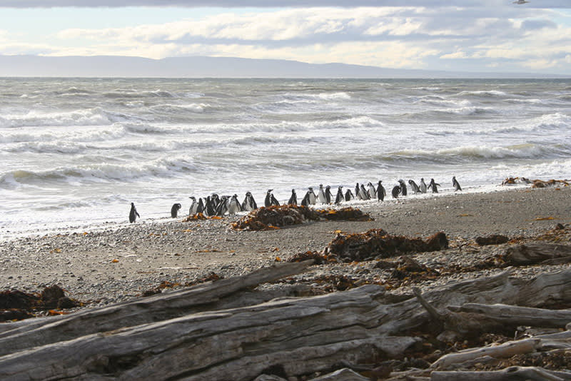 blog_punta_Otway