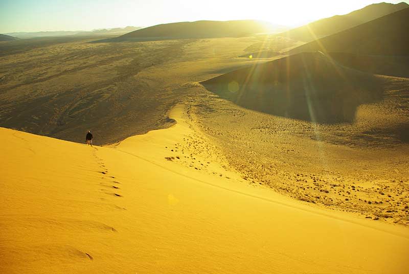 Desert, Dunes & 4W Drives