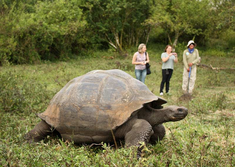 Best Places to Visit in the Galapagos Islands