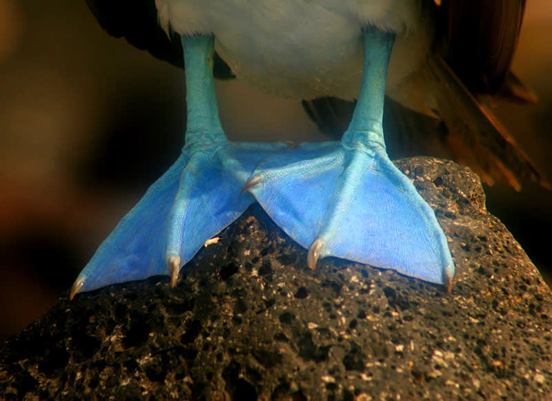 Photo Credit: Ecuador’s Ministry of Tourism