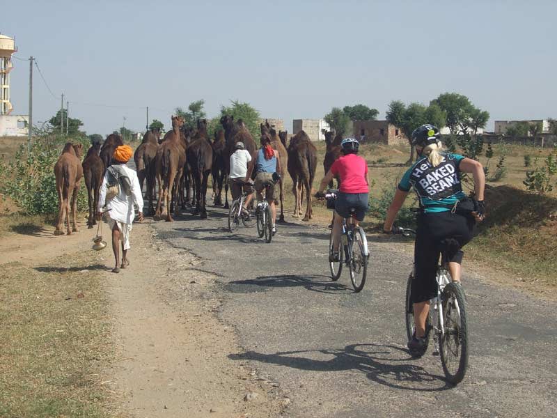 Riding through Rajasthan