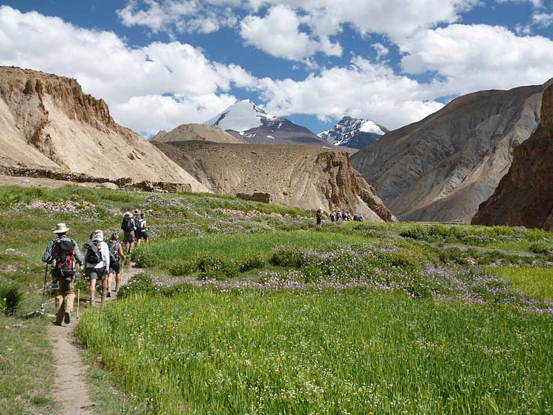 Trekking towards Tachungtse with Kang Yangtse in the background