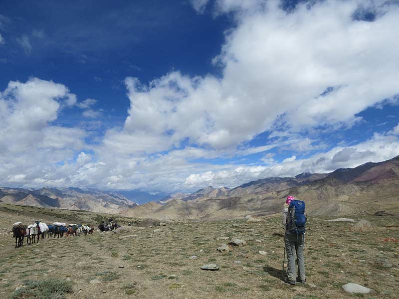 Open space in the Markha Valley