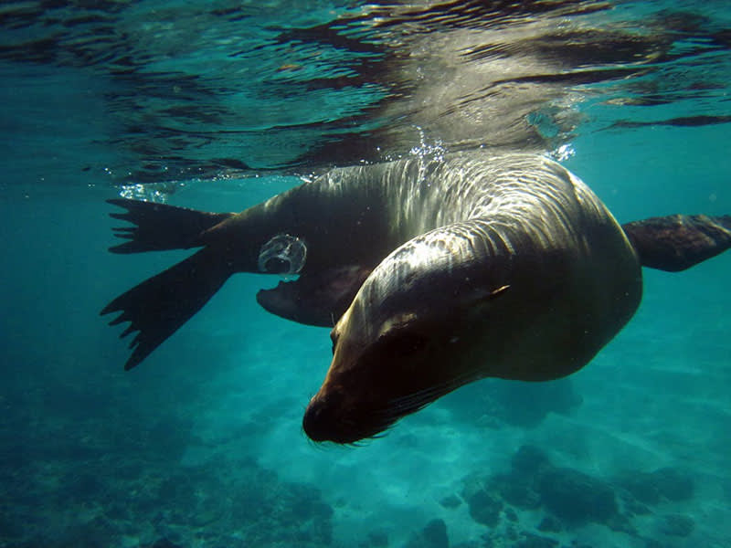 Photo Credit: Ecuador’s Ministry of Tourism