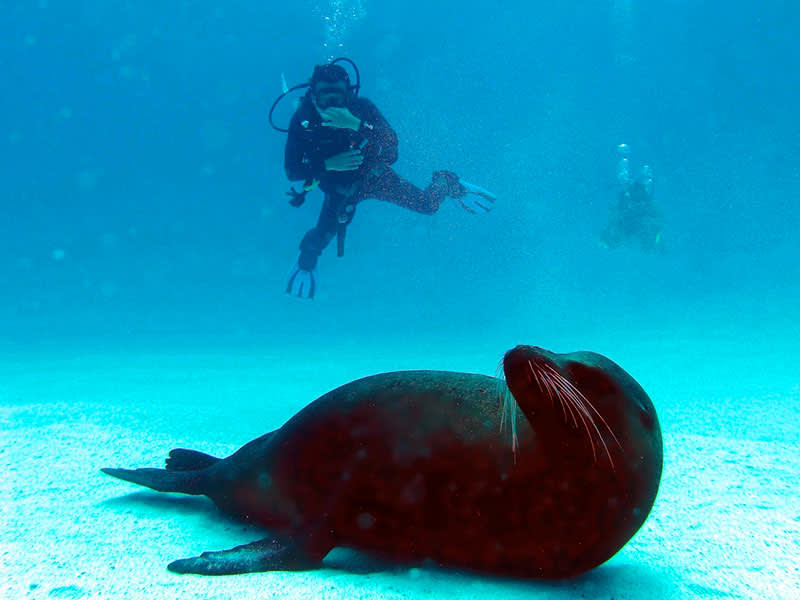 Photo credit: Ecuador’s Ministry of Tourism