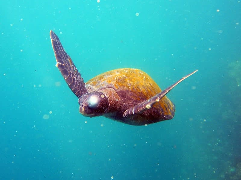 Photo credit: Ecuador’s Ministry of Tourism
