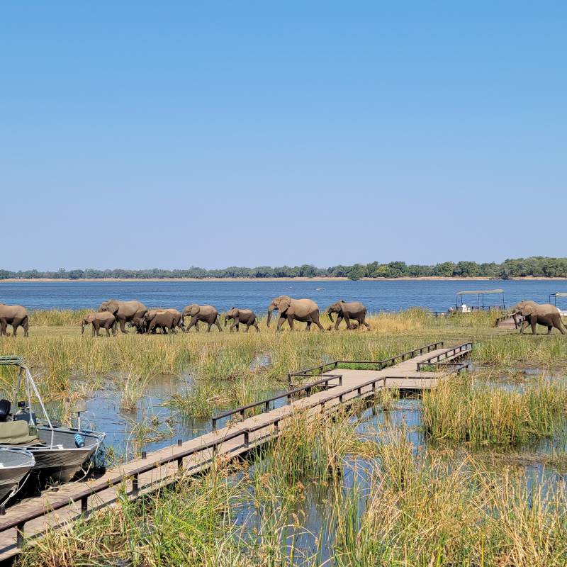 Bootsafaris im Lower Zambezi Nationalpark Sambia