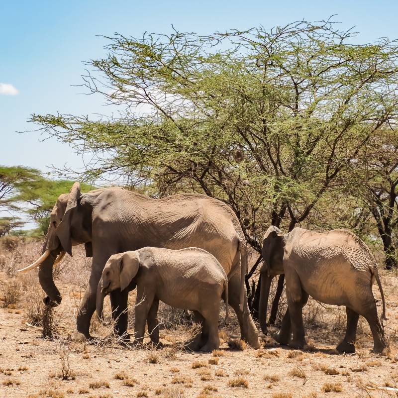 Kenia Sehenswürdigkeiten
