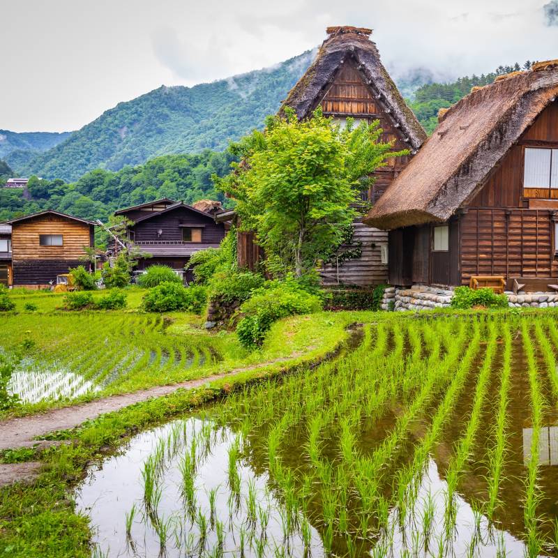 Japan Sehenswürdigkeiten