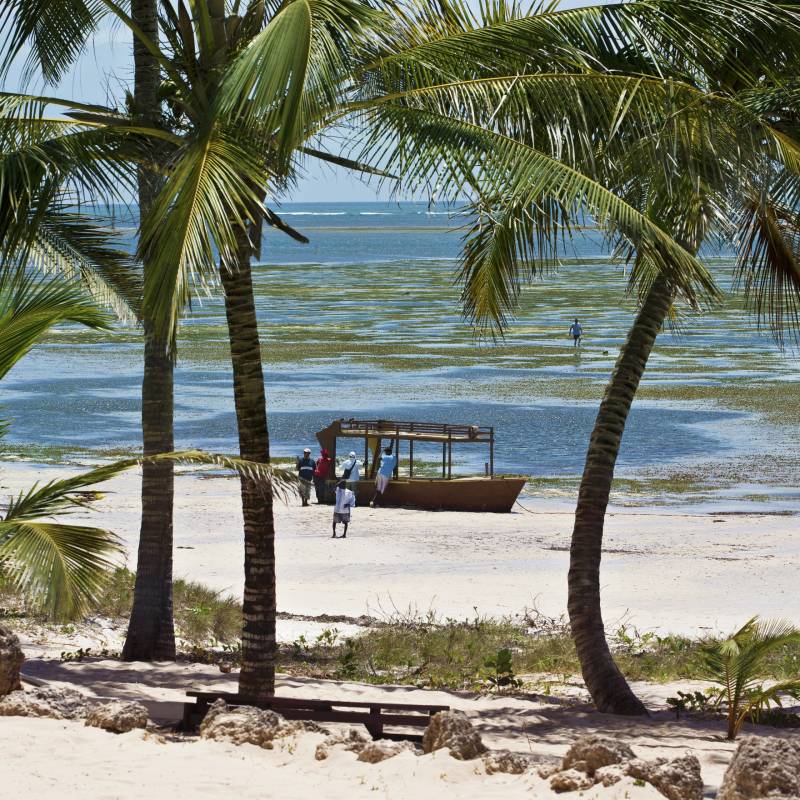 Palmengesäumter Sandstrand in Kenia