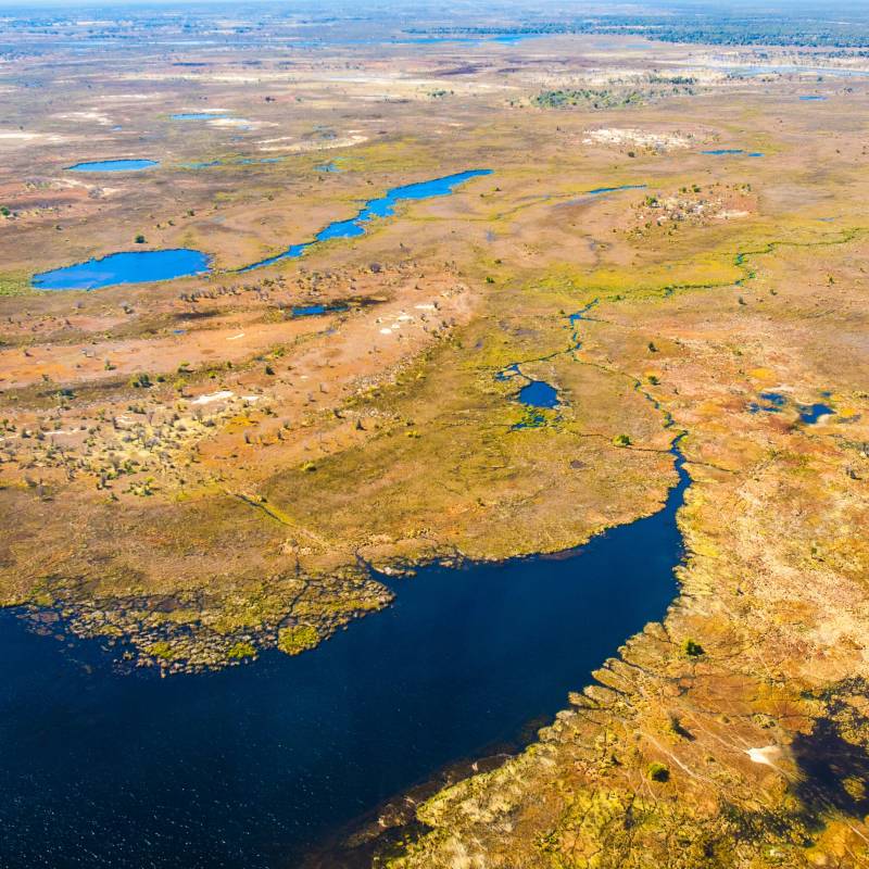 Aerial view of the Okavango delta