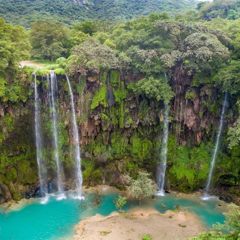 Things to do in Oman- Dhofar