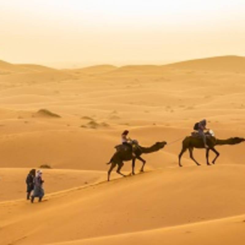 Best Things To Do in Morocco