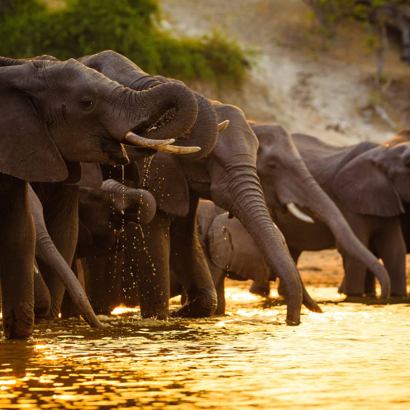 Best Things To Do in Botswana