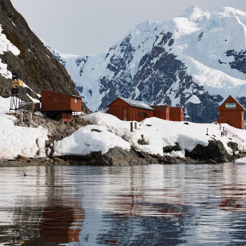 You could visit a research base during your Antarctica tour