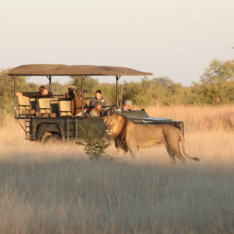 The Best Ever Luxury Safari Tours in Zimbabwe