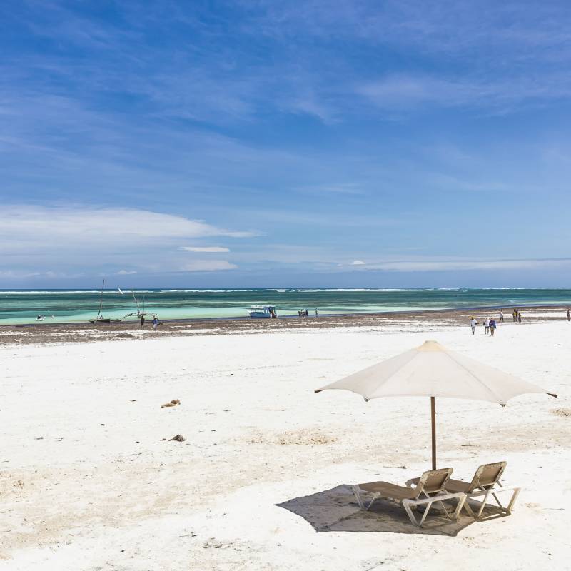 things to do in kenya