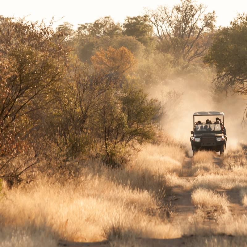 Game drive vehicle on an early morning game drive 2hrs North of Johannesburg, South Africa
