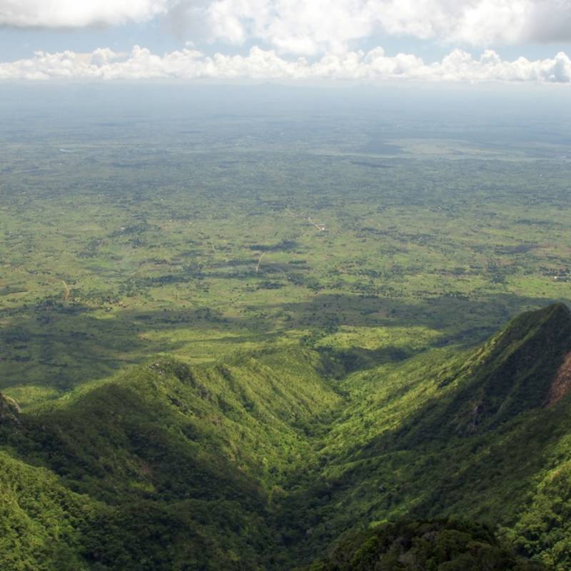 Grüne Bergwelt des Zomba Plateaus