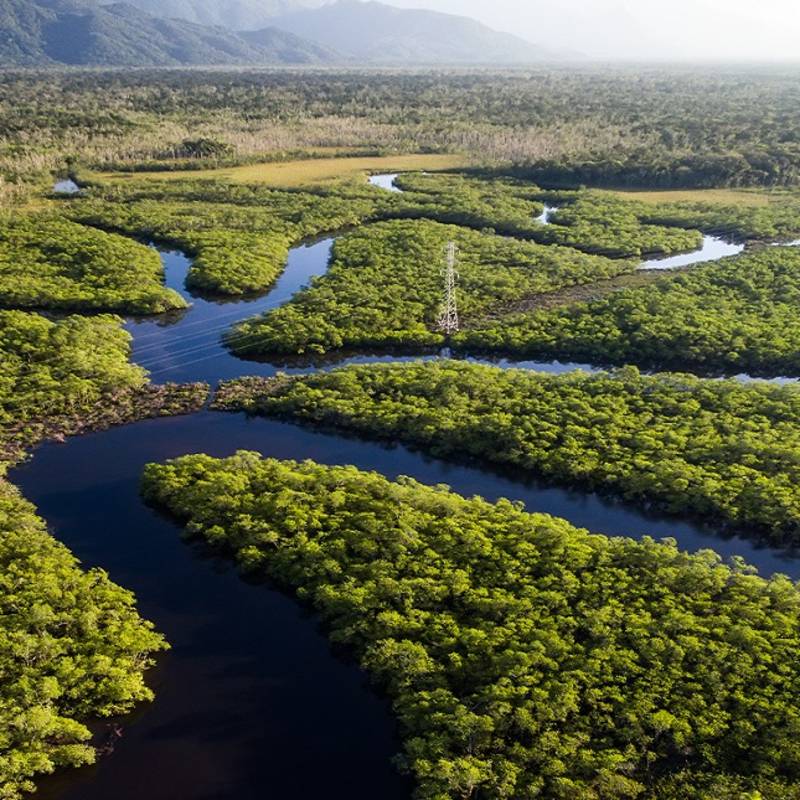 Aerial view of Rainforest, Brazil, South America