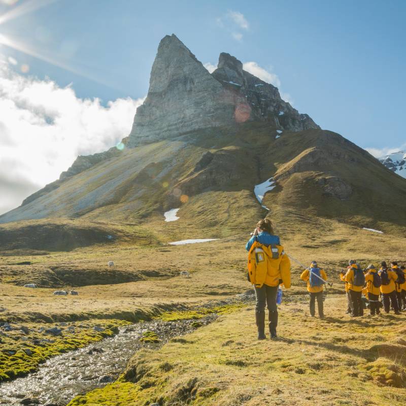 Arctic Wildlife Tour