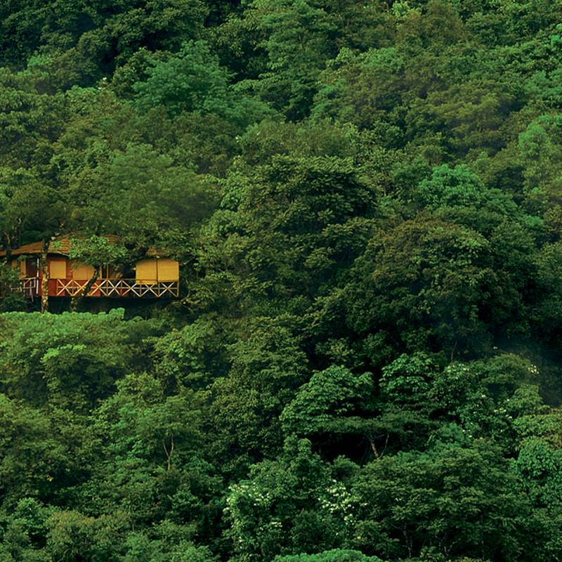 Asia Tours India Wayanad Vythiri Resort house