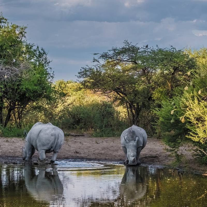 Best Things To Do in Botswana