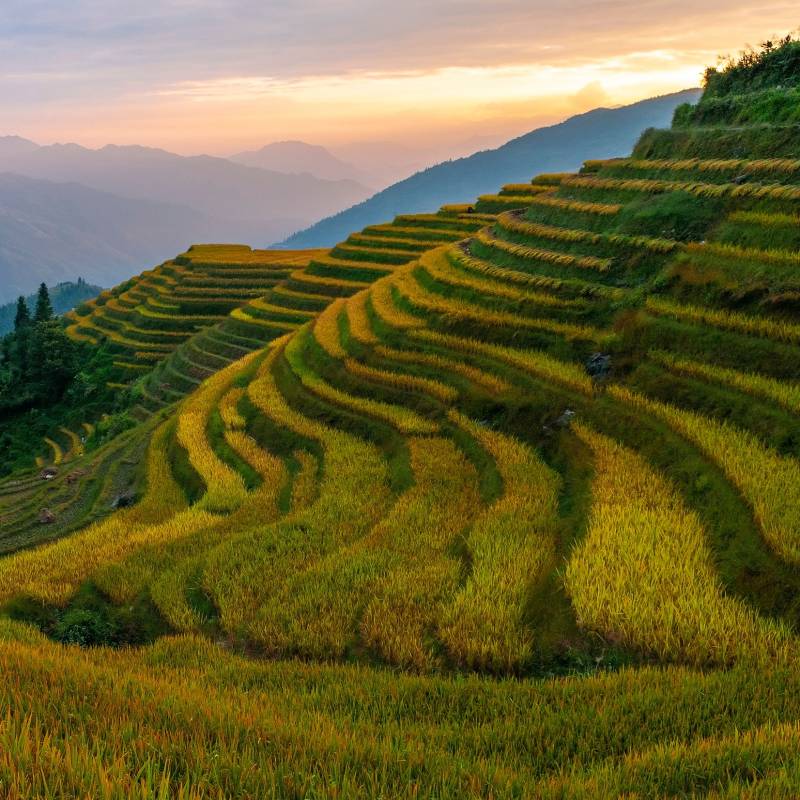 Enchanting Travels China Tours Sunset in the rice terraces of Ping An village, Longheng county, Guangxi Province, China - top things to do in China