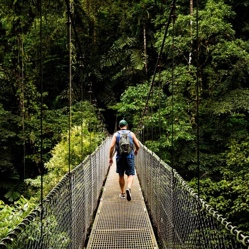 Canopy Walk, Costa Rica, Central America