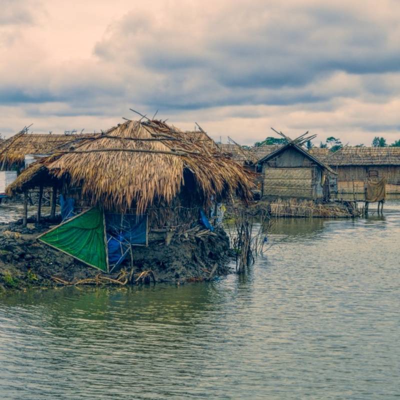 Sunderbans - Things to do in East India