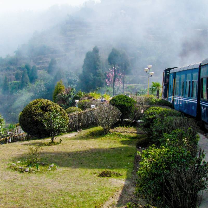 Train passing a beautiful garden, Darjeeling, India